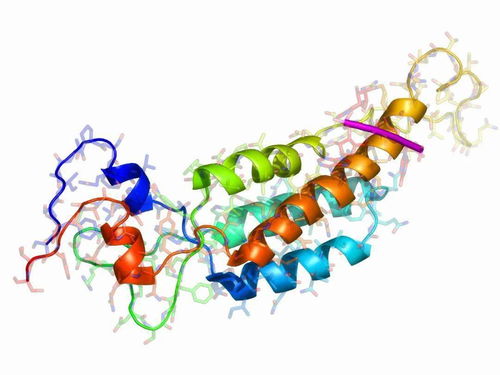 這位諾貝爾獎得主告訴我們 科研是一份興趣 許多歡樂