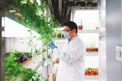 【文匯報(bào)】追尋植物再生的神秘力量--中國科學(xué)院