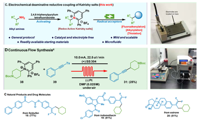 生物與制藥工程學(xué)院郭凱教授團(tuán)隊(duì)在Nature Communications報(bào)道微流場電化學(xué)合成領(lǐng)域新進(jìn)展
