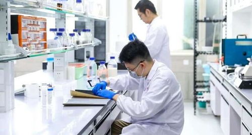 十年磨一劍 這群青年科研人員破解河蚌開合之謎