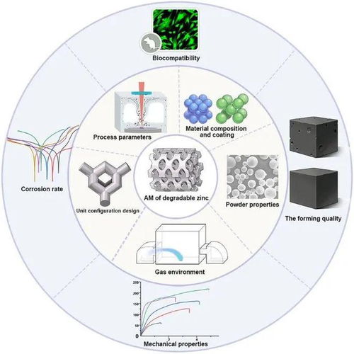 重慶大學(xué)l同濟大學(xué)l北京大學(xué)l增材制造鋅基生物材料的研究進展