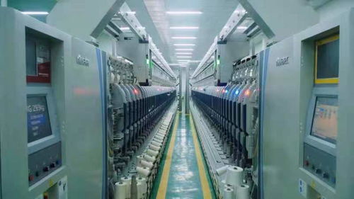 為治理白色污染提供蚌埠方案——記第二屆中國生物基材料產業發展大會暨生物基材料技術研發新動向